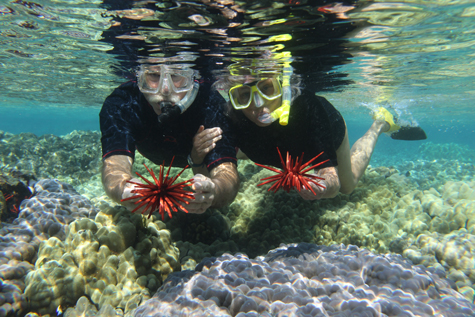 Genny and Shane Anderson 2018